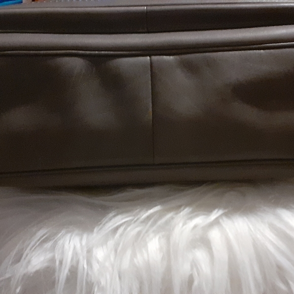 Coach - Picture 2 of 7